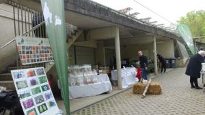PilzJäger Pflanzen-Raritätenmarkt Botanischer Garten Graz